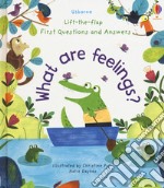 First questions and answers what are feelings? Lift the flap. Ediz. a colori libro