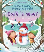 Cos'è la neve? Ediz. a colori libro