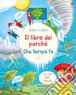 Che tempo fa? Il libro dei perché. Ediz. a colori