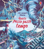 Questo pazzo pazzo tempo. Libri animati. Ediz. a colori libro