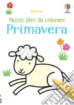 Primavera. Ediz. illustrata libro