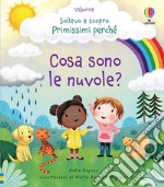 Cosa sono le nuvole? Ediz. a colori libro