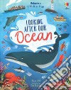 Looking after our ocean. Lift-the-flap libro