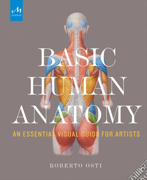 Basic human anatomy. An essential visual guide for artists