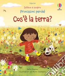 I colori, i numeri, le forme. Gioco, faccio, imparo. Tante attività per  imparare divertendosi per bambini 3-6 anni. Ediz. illustrata. Vol. 1 - Febe  Sillani - Libro - La Coccinella - Gioco faccio imparo