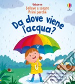 Da dove viene l'acqua? Ediz. a colori libro