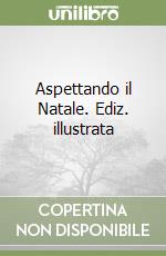 Aspettando il Natale. Ediz. illustrata libro