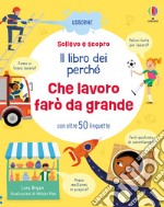 Che lavoro fare da grande. Ediz. illustrata libro