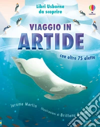 Viaggio in Artide
