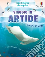 Viaggio in Artide libro