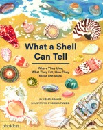 What a shell can tell. Where they live, what they eat, how they move and more