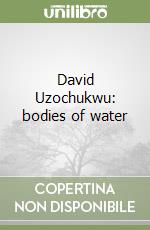 David Uzochukwu: bodies of water libro