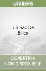 Un Sac De Billes libro