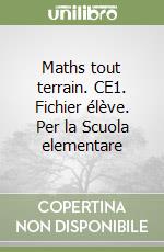 Maths tout terrain. CE1. Fichier élève. Per la Scuola elementare libro