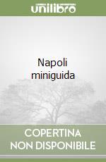 Napoli miniguida libro