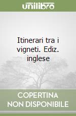 Itinerari tra i vigneti. Ediz. inglese