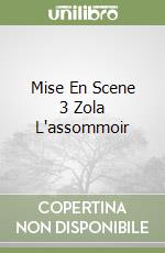 Mise En Scene 3 Zola L'assommoir libro