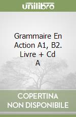 Grammaire En Action A1, B2. Livre + Cd A