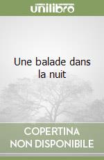 Une balade dans la nuit libro