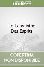 Le Labyrinthe Des Esprits
