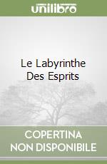 Le Labyrinthe Des Esprits libro