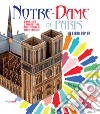 Notre-Dame de Paris. Storia, arte e architettura dalle origini al grande incendio. Libro pop-up libro