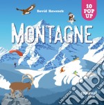 Montagna. Sorprendenti pop up. Ediz. a colori libro