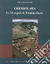 Amendolara. La Nécropole Paladino Ouest libro