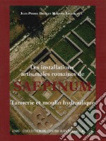 Les installations artisanales romaines de Saepinum. Tannerie et moulin hydraulique