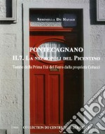 Pontecagnano. Vol. 2/7: La necropoli del picentino. Tombe della prima età del ferro dalla proprietà Colucci libro