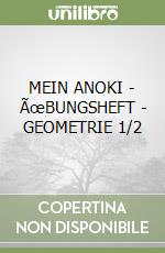 MEIN ANOKI - ÃœBUNGSHEFT - GEOMETRIE 1/2 libro