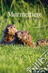 Murmeltiere. Livello B1 libro di Thoma Leonhard