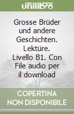 Grosse Brüder und andere Geschichten. Lektüre. Livello B1. Con File audio per il download libro