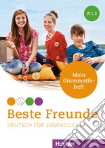 Beste Freunde. Deutsch für Jugendliche. Mein Grammatikheft. A1.1. Per la Scuola media. Con espansione online libro