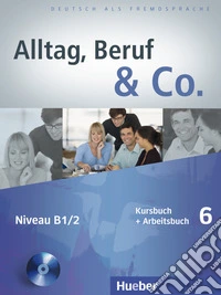 Alltag, beruf & co. Kursbuch-Arbeitsbuch. Per gli Ist. tecnici e professionali. Con CD Audio libro