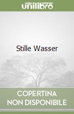 Stille Wasser libro