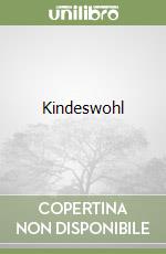 Kindeswohl libro