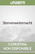 Sternenwinternacht