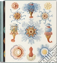 The art and science of Ernst Haeckel. Ediz. inglese, francese e tedesca libro
