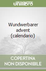 Wundwerbarer advent (calendario) libro