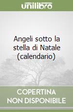 Angeli sotto la stella di Natale (calendario) libro