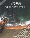 Earth through a drone's eye. Ediz. cinese libro