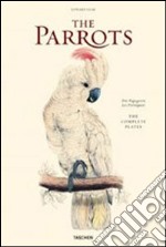 The parrots. Ediz. italiana, spagnola e portoghese