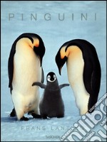 I pinguini. Ediz. illustrata libro