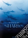 Michael Muller. Sharks. Ediz. inglese libro di Cousteau Philippe jr. Kock Alison Nelson Arty