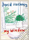 My window. Ediz. limitata libro