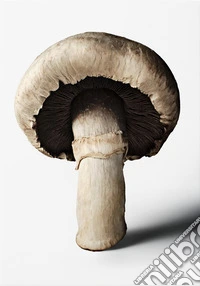 The Gourmand's mushroom. A collection of stories and recipes
