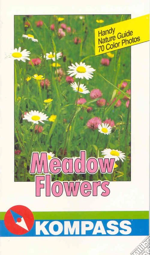 Meadow flowers