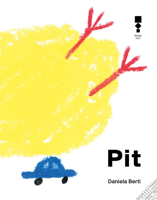 Pit. Ediz. illustrata