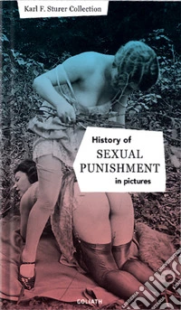 History of sexual punishment. Ediz. illustrata libro